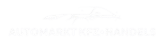 Automarkt